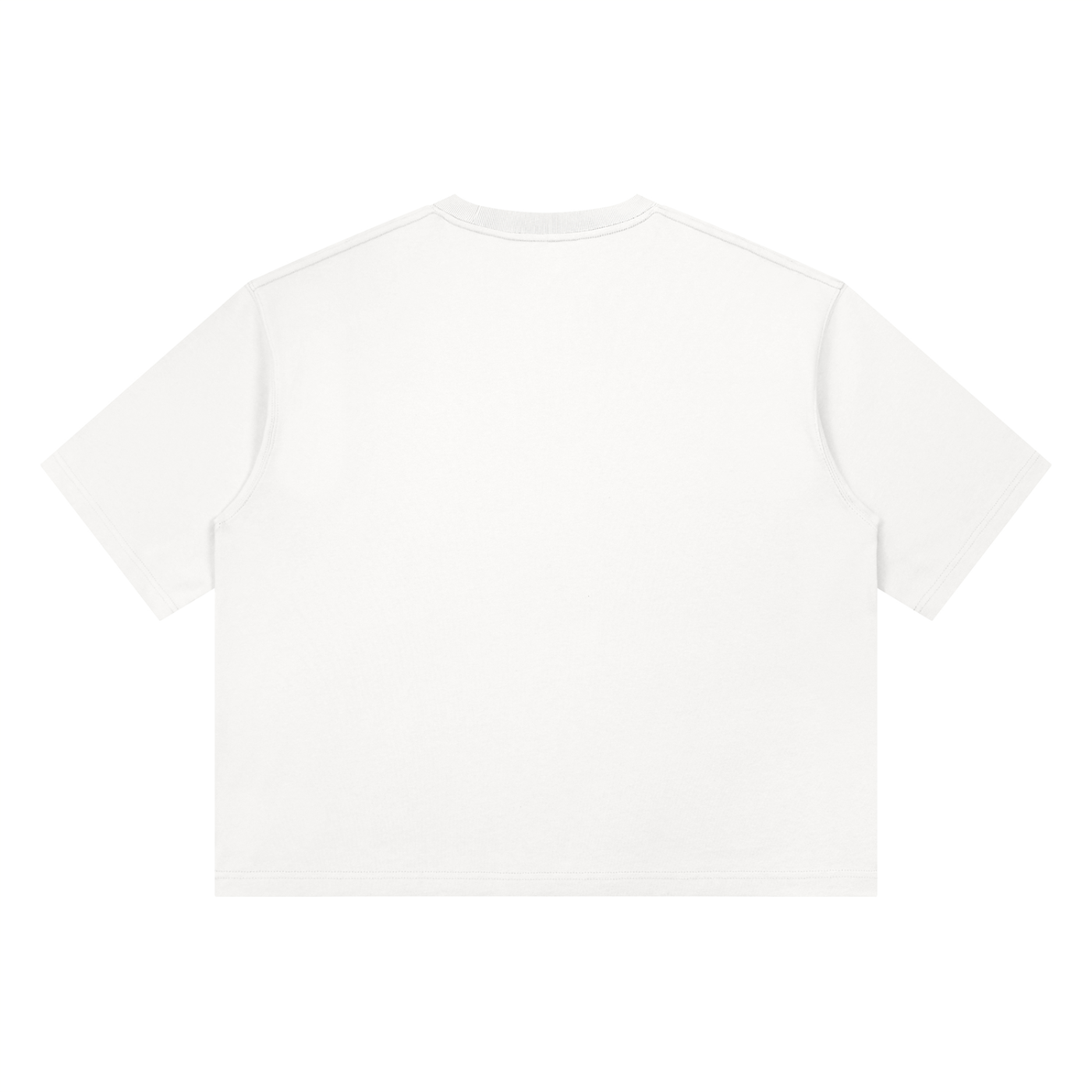 PD Heavyweight Boxy T-Shirt